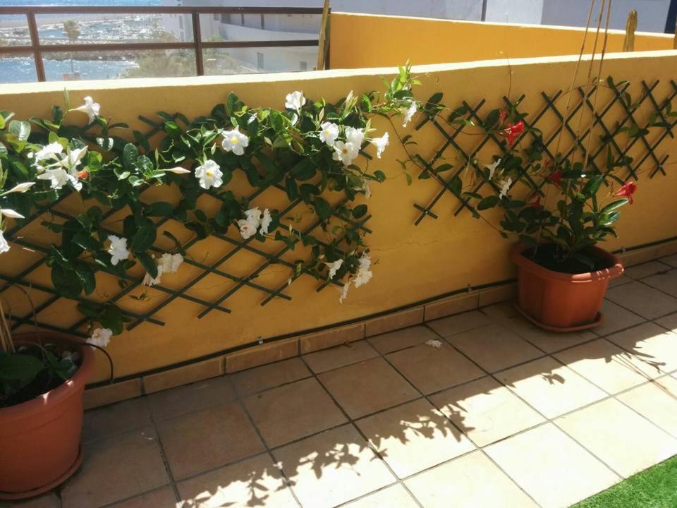 431 - Edif Aguamarina - Vacation Rental Home In The Coast Line Of Golf Del Sur San Miguel de Abona Eksteriør billede